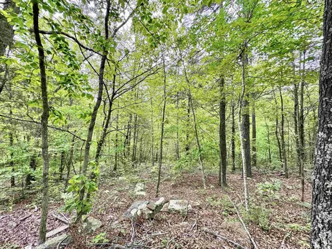 685 Kennedy Rd, Leslie, AR 72645 photo 25