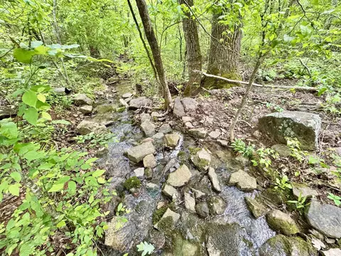 685 Kennedy Rd, Leslie, AR 72645 photo 21