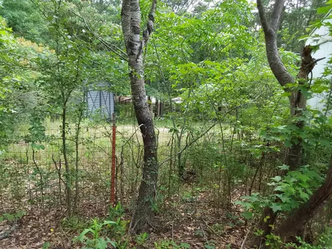 11018 Billy Williams Dr, Mabelvale, AR 72103 photo 5