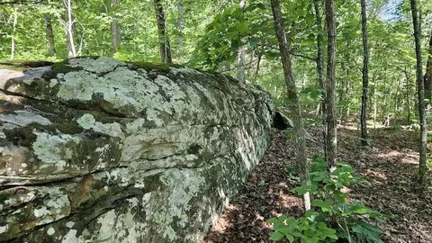 Nc 2848, Marble Falls, AR 72648 photo 3