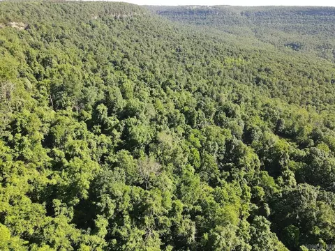 Nc 2848, Marble Falls, AR 72648 photo 50