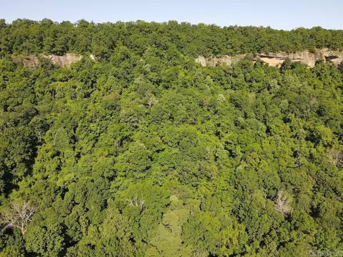 Nc 2848, Marble Falls, AR 72648 photo 41