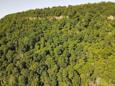 Nc 2848, Marble Falls, AR 72648 photo 43