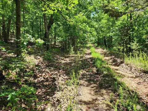 4 Paiute Drive # l, Highland, AR 72529