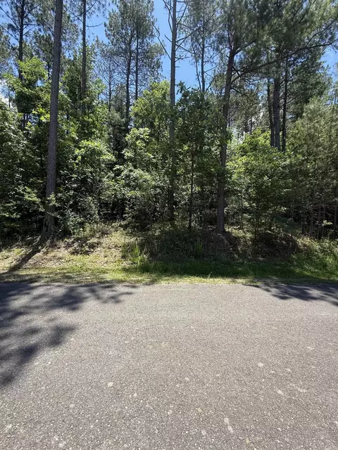 68 Manzanares Dr, Hot Springs Village, AR 71909