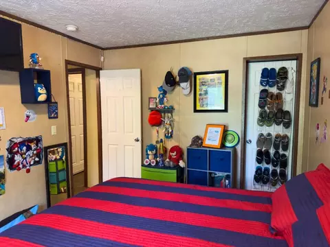 4764 Byron Rd, Salem, AR 72576 photo 22