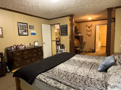 4764 Byron Rd, Salem, AR 72576 photo 18