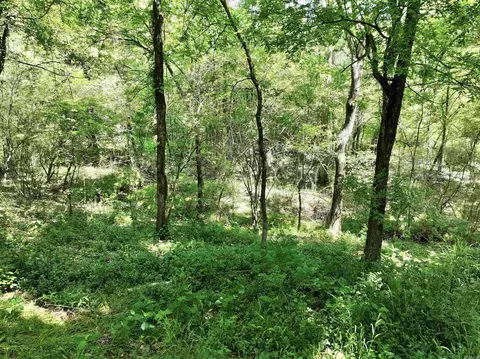 21 Chris Rd, Amity, AR 71921 photo 39