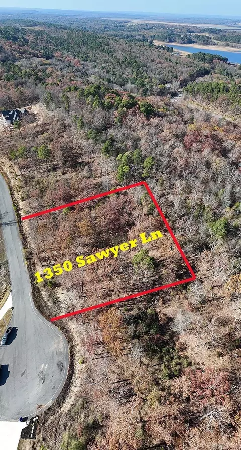 1350 Sawyer Ln, Conway, AR 72032 photo 5
