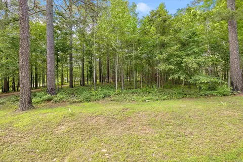 8011 Dial Rd, Rison, AR 71665 photo 42
