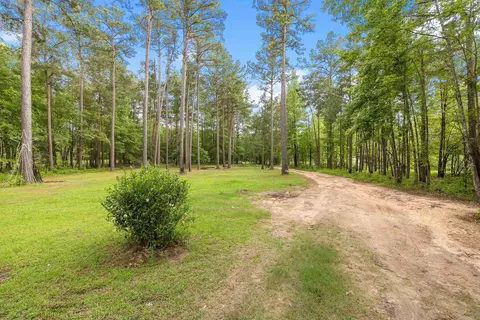 8011 Dial Rd, Rison, AR 71665 photo 36