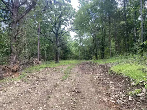 tbd 2 Stevenson Rd, Pencil Bluff, AR 71965 photo 3