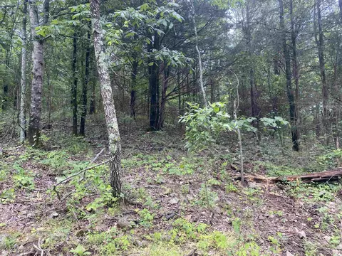 tbd 2 Stevenson Rd, Pencil Bluff, AR 71965 photo 4