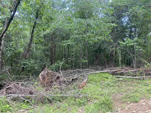 tbd 2 Stevenson Rd, Pencil Bluff, AR 71965 photo 10