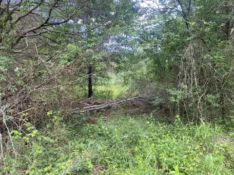 tbd 2 Stevenson Rd, Pencil Bluff, AR 71965 photo 2