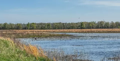 1962 Acres Upper Lockhart Rd, Cord, AR 72524