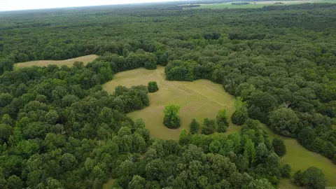 Butler Ln, Dewitt, AR 72042 photo 16
