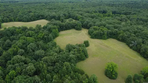Butler Ln, Dewitt, AR 72042 photo 18