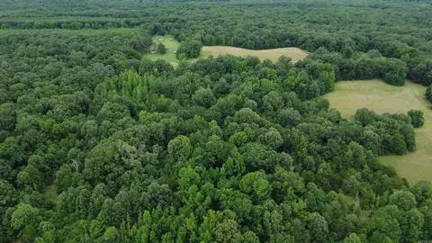 Butler Ln, Dewitt, AR 72042 photo 17
