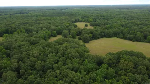 Butler Ln, Dewitt, AR 72042 photo 4