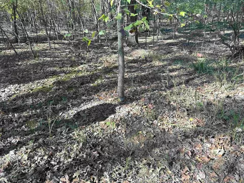 Butler Ln, Dewitt, AR 72042 photo 29