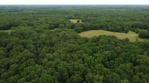 Butler Ln, Dewitt, AR 72042 photo 2
