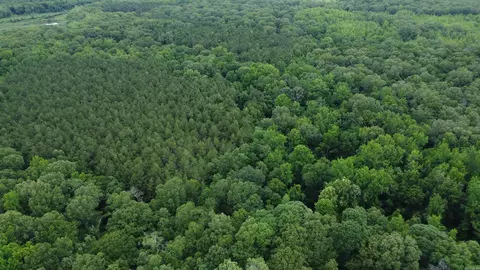 Butler Ln, Dewitt, AR 72042 photo 11