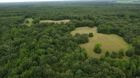 Butler Ln, Dewitt, AR 72042 photo 14
