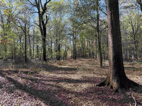Butler Ln, Dewitt, AR 72042 photo 25