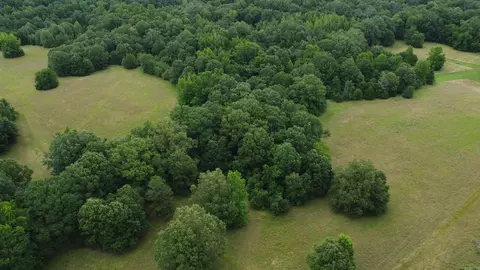 Butler Ln, Dewitt, AR 72042 photo 6