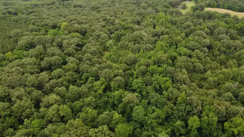 Butler Ln, Dewitt, AR 72042 photo 15