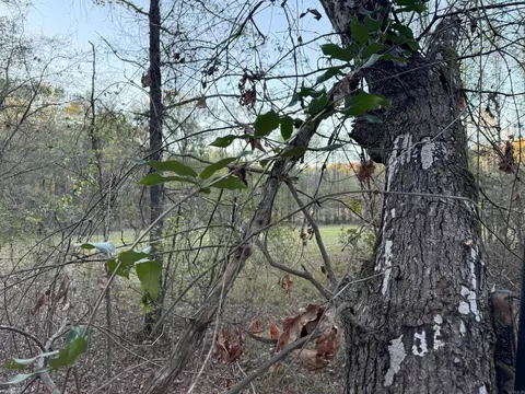 Butler Ln, Dewitt, AR 72042 photo 27