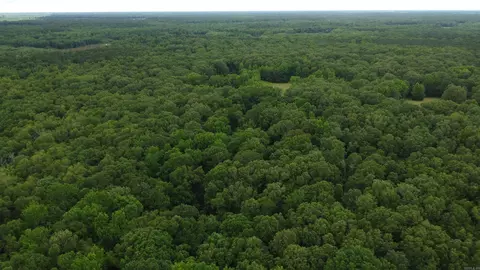 Butler Ln, Dewitt, AR 72042 photo 3