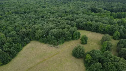 Butler Ln, Dewitt, AR 72042 photo 21