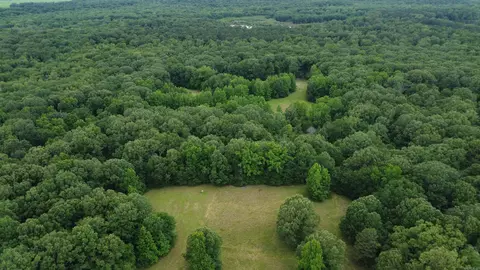 Butler Ln, Dewitt, AR 72042 photo 22