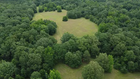 Butler Ln, Dewitt, AR 72042 photo 8