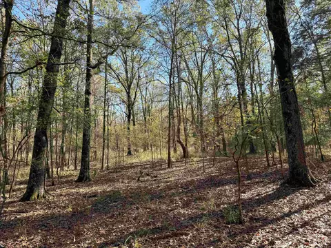 Butler Ln, Dewitt, AR 72042 photo 24