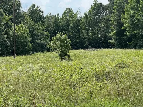 133 Old Texas Rd, Quitman, AR 72131 photo 40