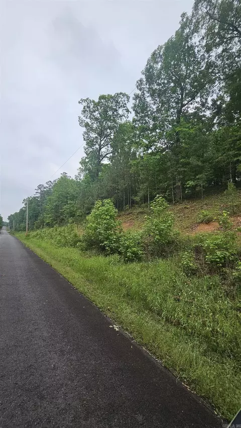 21 Bald Eagle, Paron, AR 72122 photo 2
