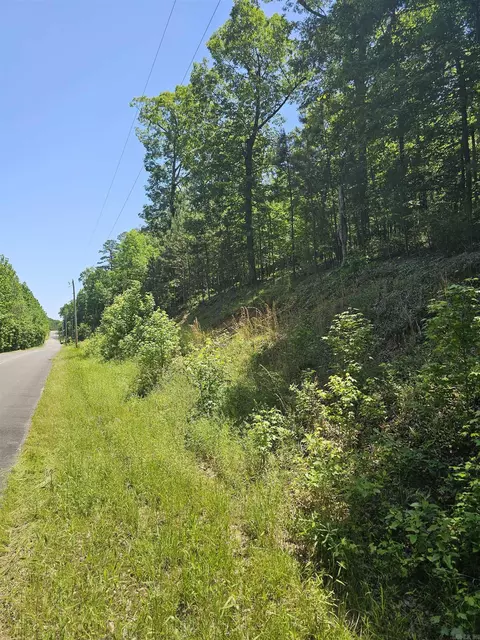 21 Bald Eagle, Paron, AR 72122 photo 1