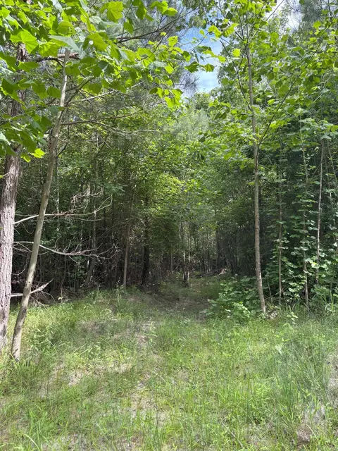 850 Vince Bluff Rd, New Edinburg, AR 71660 photo 8