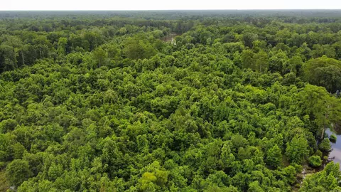 850 Vince Bluff Rd, New Edinburg, AR 71660 photo 23