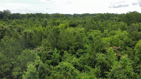 850 Vince Bluff Rd, New Edinburg, AR 71660 photo 27