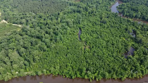 850 Vince Bluff Rd, New Edinburg, AR 71660 photo 7