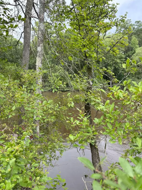 850 Vince Bluff Rd, New Edinburg, AR 71660 photo 10