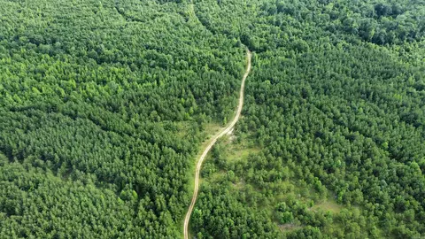 3400 Us-278 Hwy, Wilmar, AR 71675