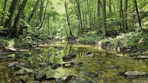 Punkin Flat Road, Marshall, AR 72650