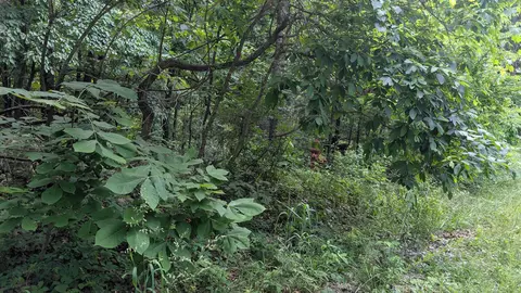 201 Cinderella St, Horseshoe Bend, AR 72512