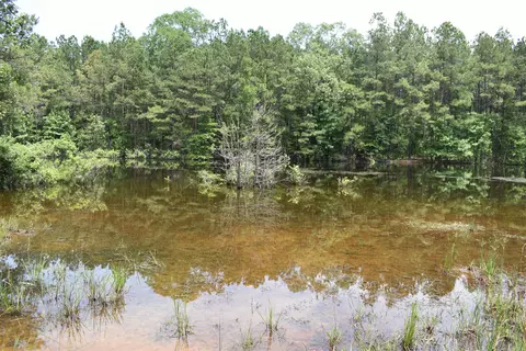 View/Area - 5400 Hill Harper Rd, Rison, AR 71665 photo 4 of 4