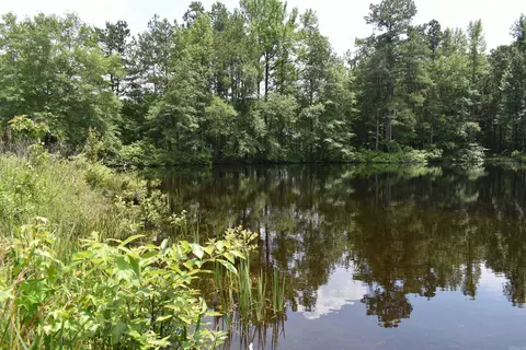 View/Area - 5400 Hill Harper Rd, Rison, AR 71665 photo 2 of 4